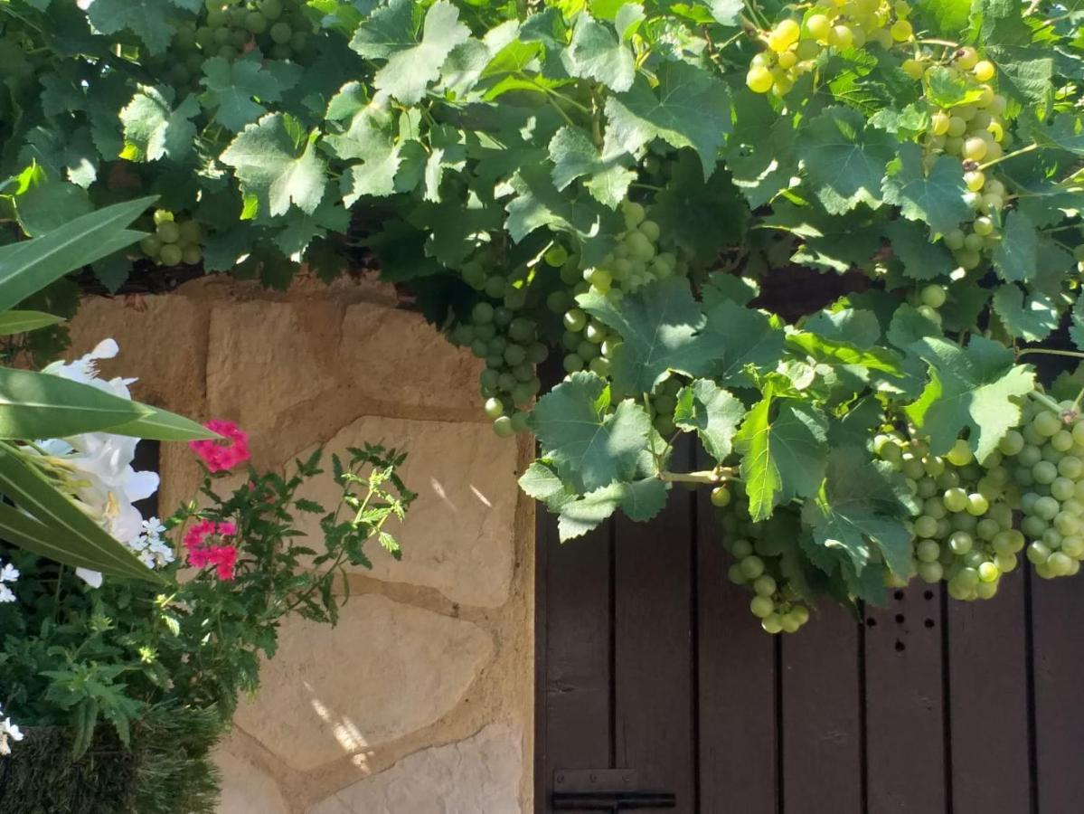 Lou Bagnou Mi-Clos Bagnols-sur-Cèze Exteriör bild