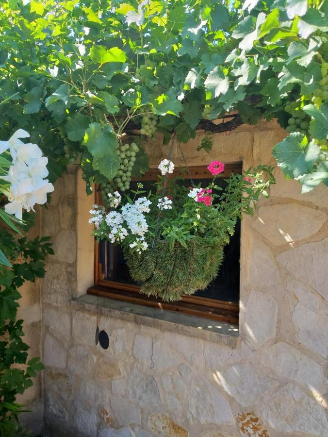 Lou Bagnou Mi-Clos Bagnols-sur-Cèze Exteriör bild