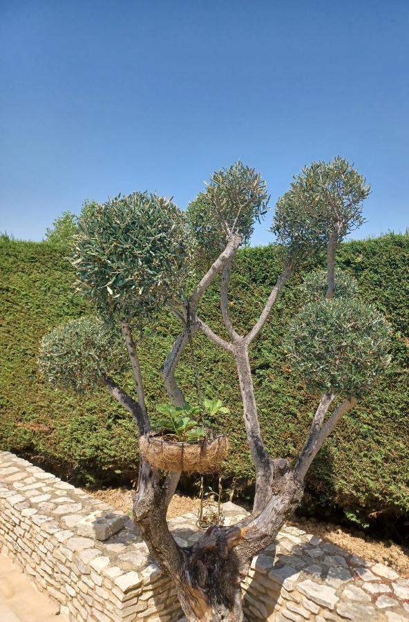 Lou Bagnou Mi-Clos Bagnols-sur-Cèze Exteriör bild